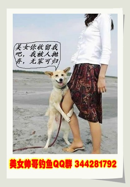 佐佐木明希+中文的海报图片